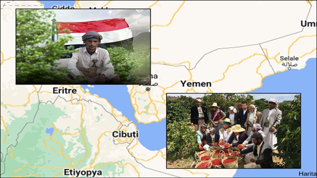 Ensarallah: Yemen'in tarım devriminin öncüsü